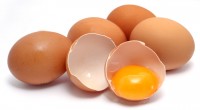Τα αυγά είναι ένα τρόφιμο εύγεστο και πλούσιο σε θρεπτικά συστατικά. Σήμερα , όταν αναφερόμαστε στα αυγά, υπονοούμε τα αυγά της κότας, μια και αυτά καταναλώνονται πιο συχνά. Αποτελούν πολύτιμη […]